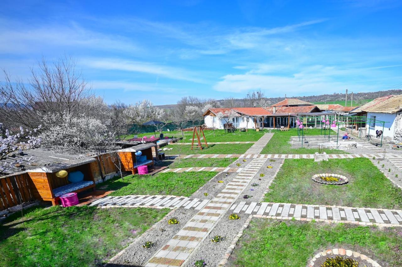 Guest House Bulgarka Dibich Экстерьер фото